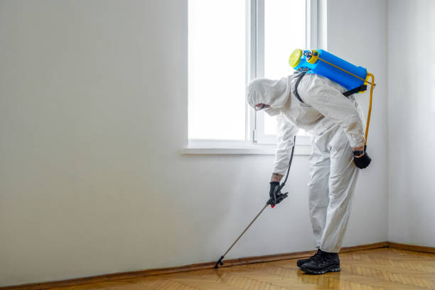 Best Pest Control Near Me in Bidwell, OH