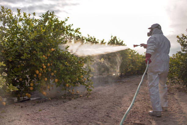 Best Best Pest Control Companies  in Bidwell, OH