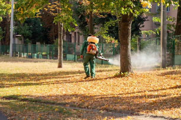 Best Wasp Removal Services  in Bidwell, OH