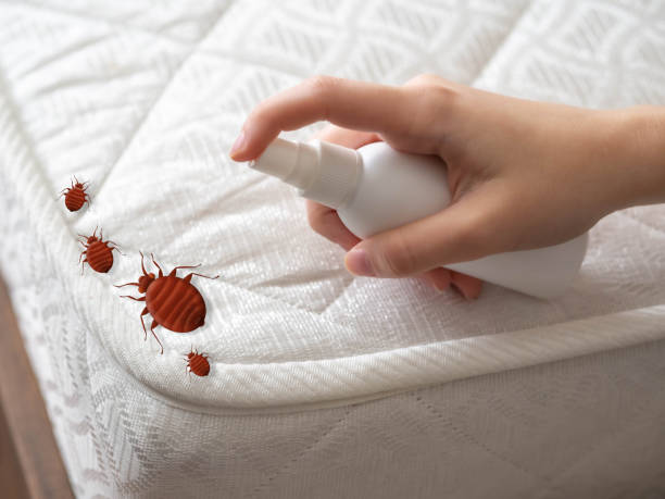 Best Best Pest Control Near Me  in Bidwell, OH
