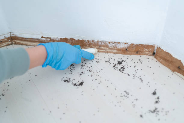 Best Pest Inspection Near Me  in Bidwell, OH